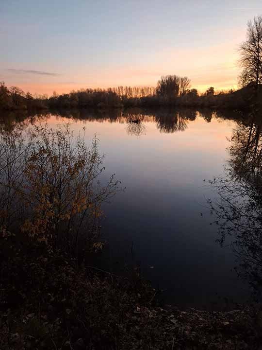 Fischbesatz Herbst 2025 – Bild 03