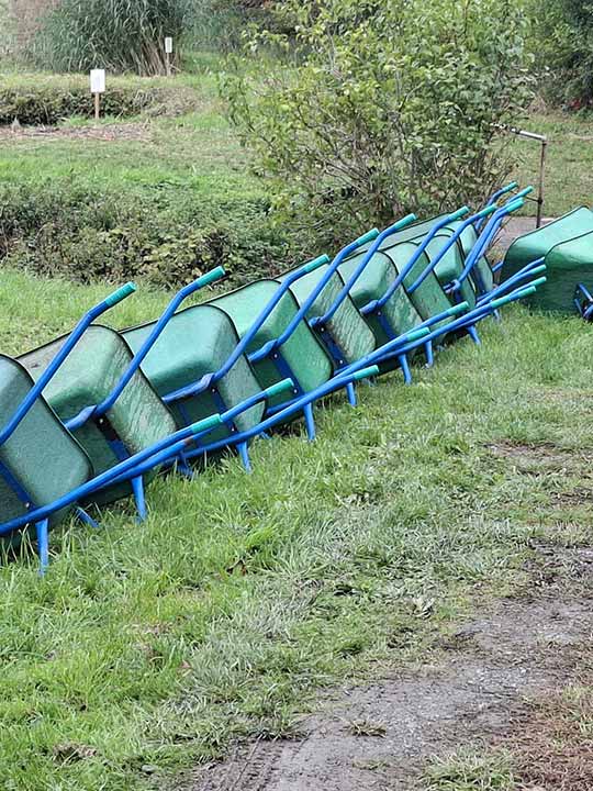 Fischbesatz Herbst 2025 05