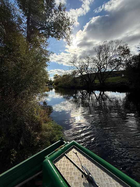 Fischbesatz Herbst 2025 11